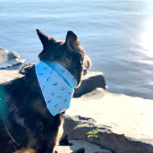 Black and brown German Shepherd looking out to a body of water wearing a light blue bandana with dark blue illustrations.